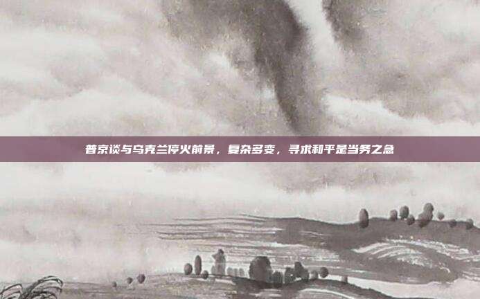 普京谈与乌克兰停火前景，复杂多变，寻求和平是当务之急