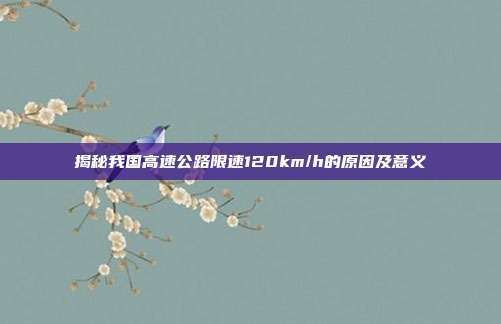 揭秘我国高速公路限速120km/h的原因及意义