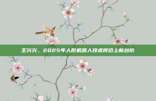 王兴兴，2025年人形机器人技术将迈上新台阶